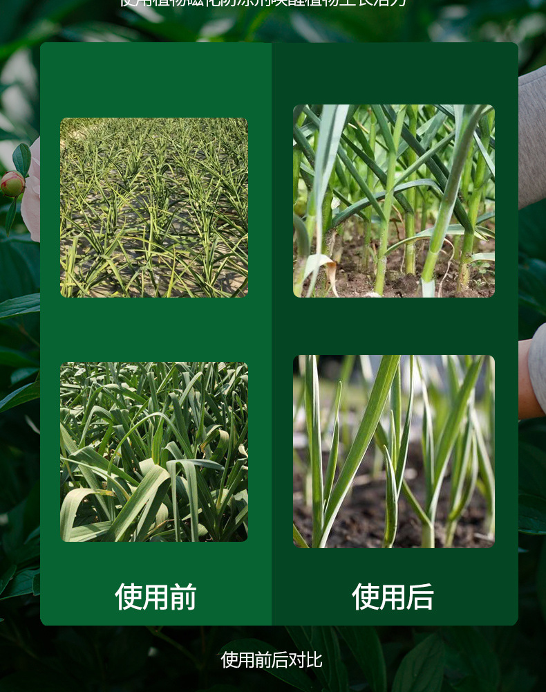 植物磁化防冻剂_11.jpg