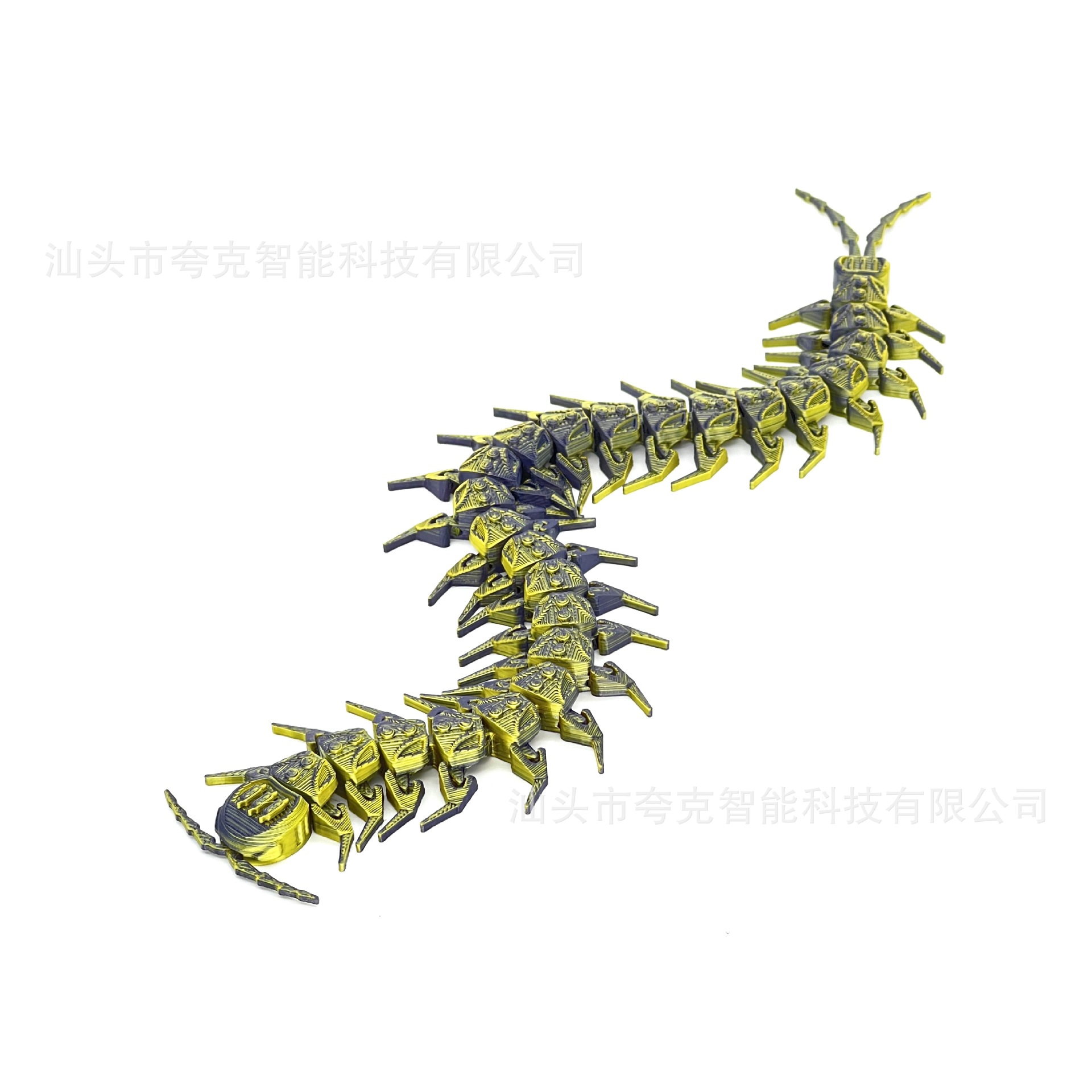 블랙 골드 28cm [레이저백]