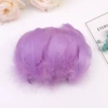 68#light purple