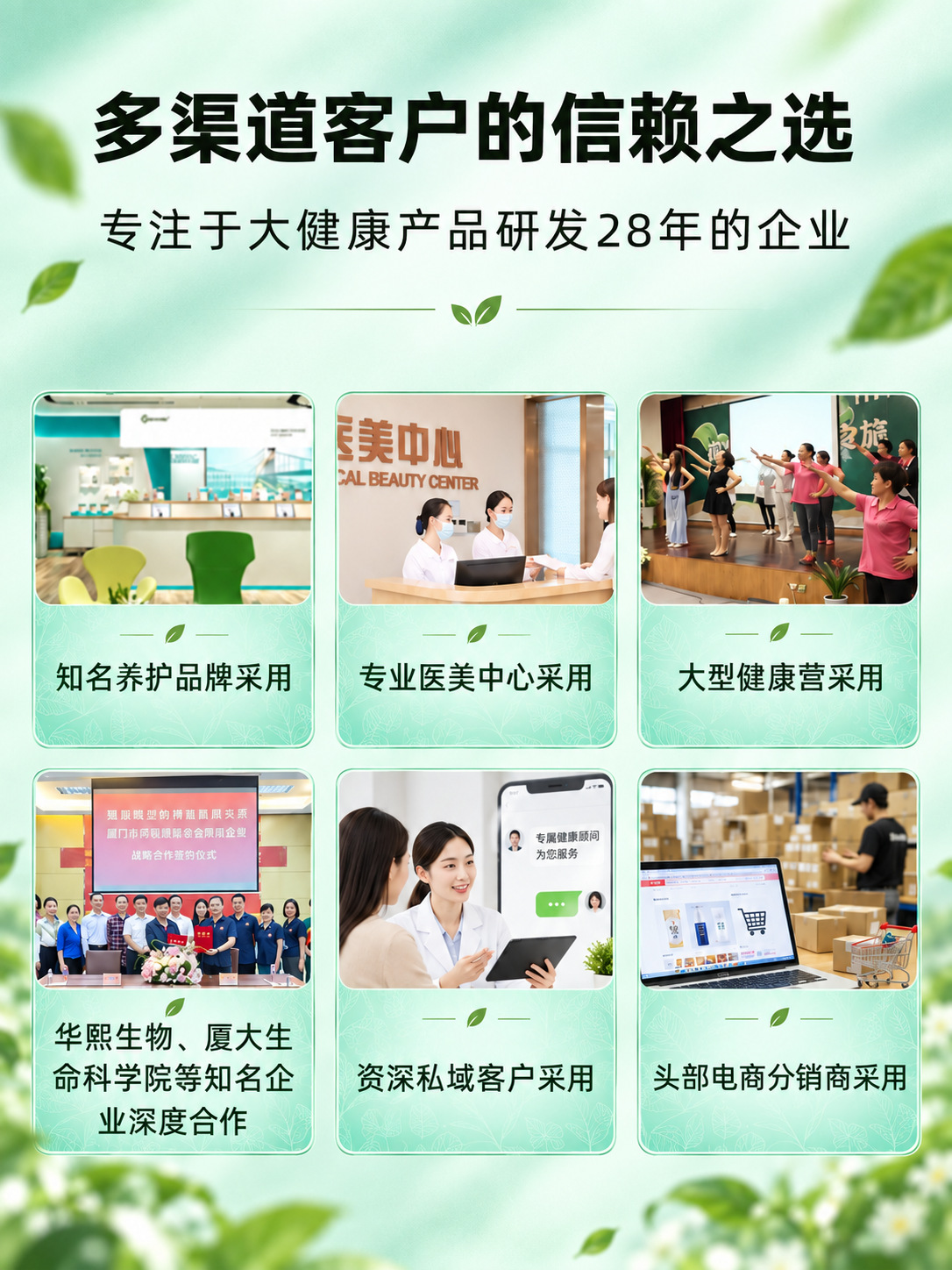 Taiwan Probiotic Grain & Fruit-Vegetable Enzyme Powder (Prebiotic Oligosaccharide Blend) — 6g Trial Sachet specifications