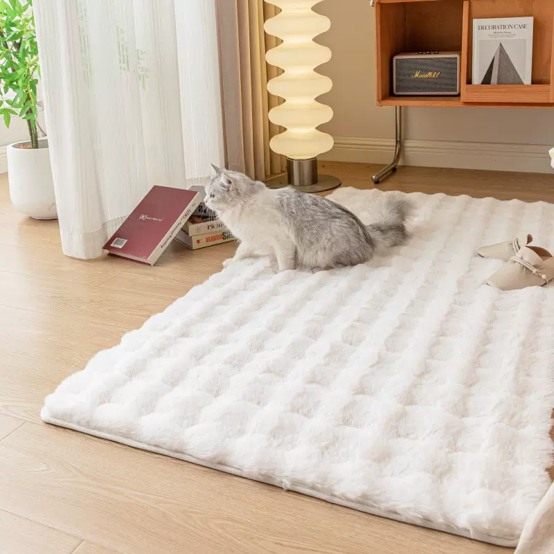 跨境ins仿兔毛地毯客厅卧室茶几床边垫加厚毛绒飘窗地垫沙发垫