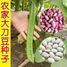 NNٰ׵NӼtN󵶶Ǹ߮a󵶶Ұ