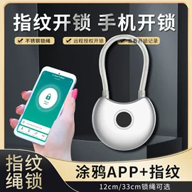 智能锁;指纹锁;挂锁