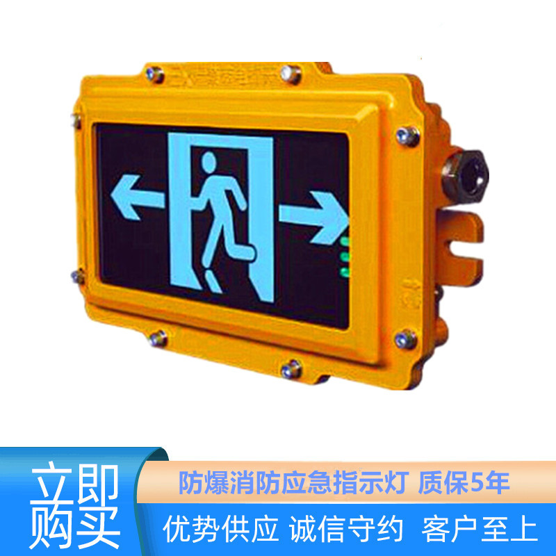 防爆应急照明灯LED消防疏散指示灯应急安全出口指示灯逃生标示灯