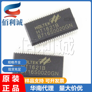 HT1621B SSOP48 SSOP24 HT1621 LCD LCD driver chip IC HOLTEK/HeTai
