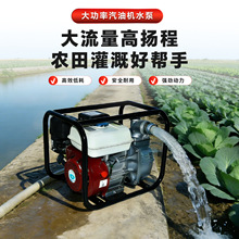 跨境专供Gasoline Engine Water Pump农田输水灌溉种植汽油机水泵