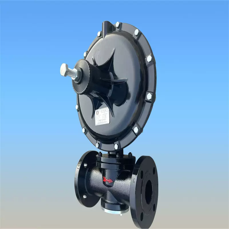 RTZ-FQ天然气减压阀燃气调压器工业管道调压阀煤气减压阀沼气阀