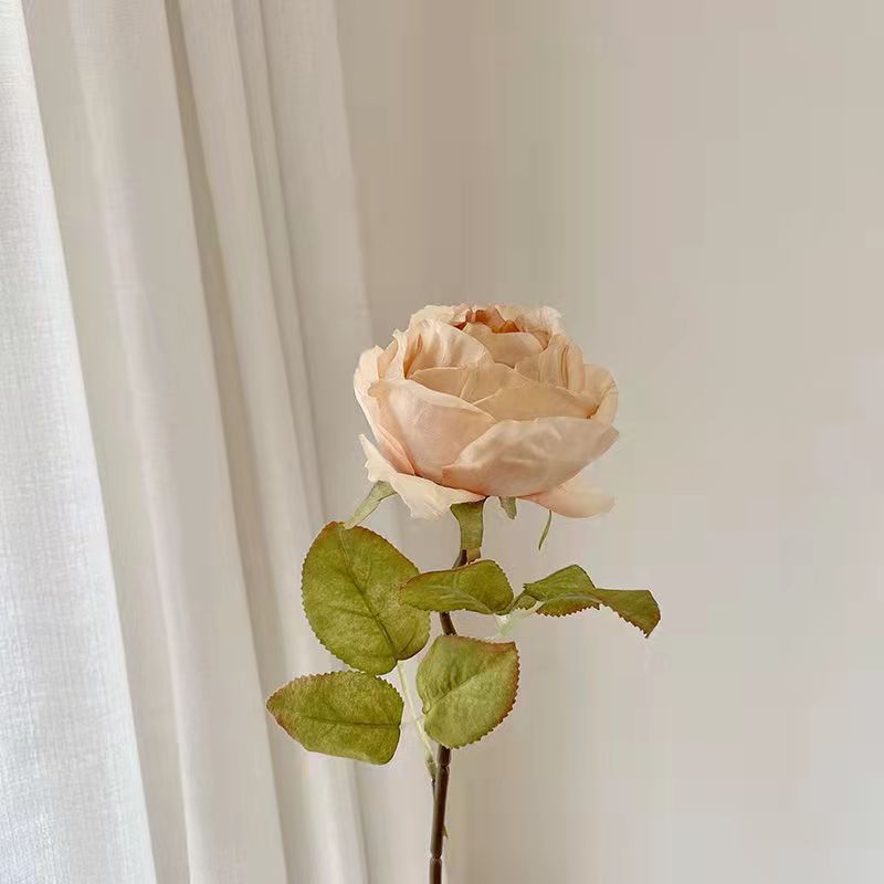 Flor artificial vintage quemado borde Rosa sola flor falsa decoración del hogar foto apoyos florero decoración artificial Flor de plástico