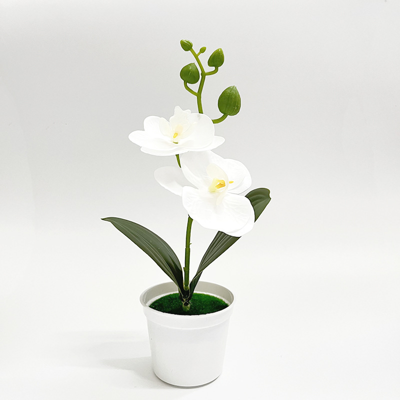 화이트 (높이 25*가로 13cm)