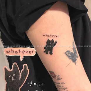 �o���^С���� �ݱ���֭�y���N�ɐۿ�ͨ�ֱ�С�����汬��W�tins�L