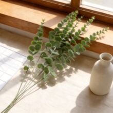 ����Gֲ�羳��֧����~�ȼ������R�d�廨�Ҿӷ��滨�b[�����l