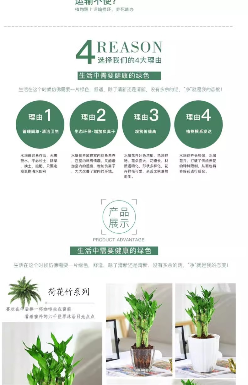 a8ce39bb-eeb7-45ab-ac8a-4d7c5e60e3a2.jpe