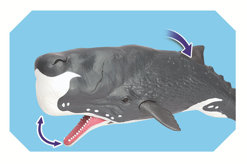 Fun Storm Deep Sea Biology Series Sperm Whale King Octopus