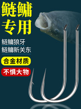 �ӏ����P�|���I�����~�h���ͻ������^�~��������������~�h�����h