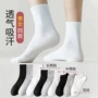 高筒同款女士男士运动袜