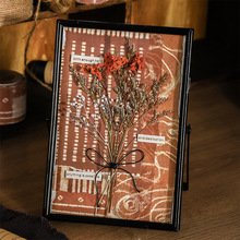 �����u��Ů�ֹ���Ⱦ�����κͼ��z�� ��Ⱦ�r��ϵ�� 6��͹Ŵ���N