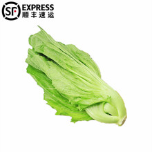 5斤順豐 現摘芥菜新鮮大葉青菜腌制酸菜泡菜農家自種新鮮蔬菜整箱