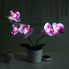 LED装饰灯;太阳能灯;创意夜灯