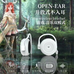国境を越えたメーカーの私型特許bluetoothイヤホンは無線で耳に入らない低遅延運動イヤホン