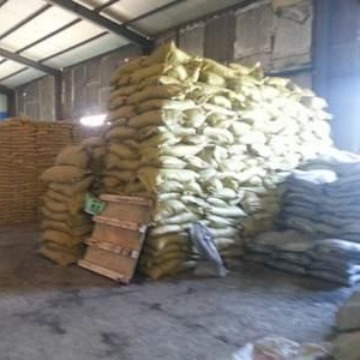 绿色木霉菌 批发绿色木霉菌微生物原粉 现货微生物绿色木霉菌原粉