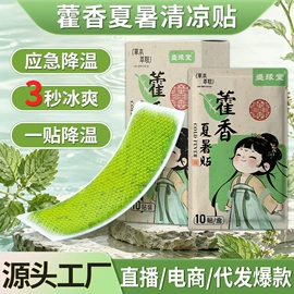 保健护具;身体护理套装;膏药贴（械字号）