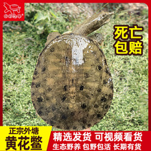 ���B�����S�����~�ڻ������~���w�������A���M��ˮ�~�F�~�r��ʳ��