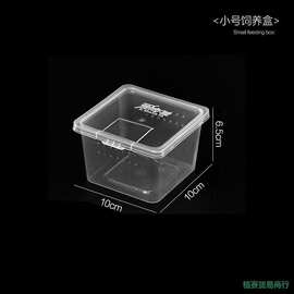 跨境人渣盒爬虫箱螳螂跳蛛养蚕饲养盒爬行动物睫角寄居蟹