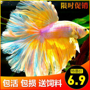 ̩�����~���w��Ů�~���ª{���Rβ���~ĸ�~�Ꭷ�^�p�~�����~���]