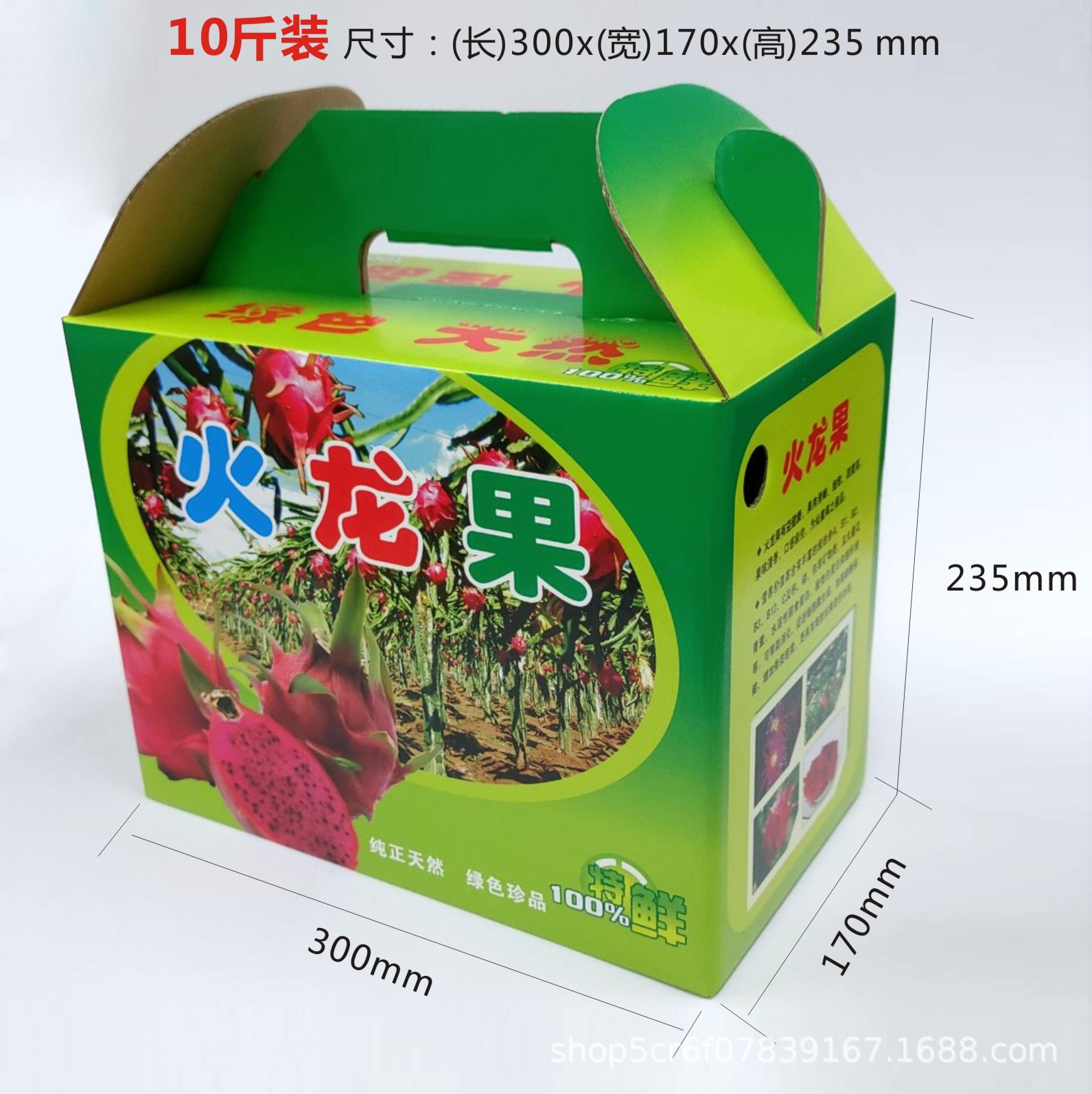 火龙果B尺寸图-10斤装