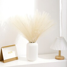 55���׷��滨�JȔ����˹�ݼٻ��b廨�͏d��c����bٻ�ֲ��