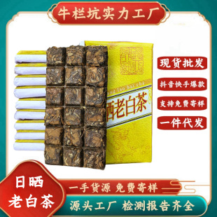 2010���������ǰ��ɽ�����Օ��ϰײ藗���ω�ü��u��S�ϲ�