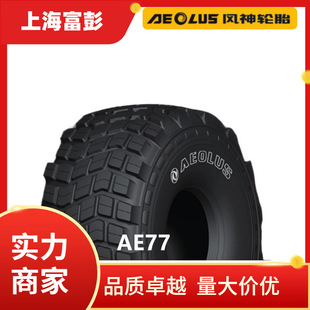 Aeolus Fengshen Tire 24R20.5 Ae77 Desert Buoyancy Tire