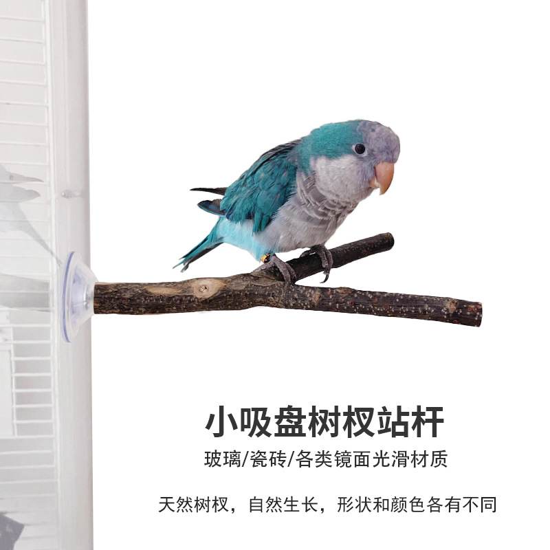鹦鹉站杆原木树杈鸟类站架磨爪栖息木木质鹦鹉玩具便携吸盘站杆