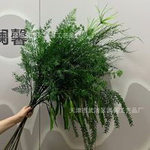 ����ɭϵ�Gֲ��ɫϵ�л�c���ű����bGֲ�ҾӾƵ겼��ֲ�����l
