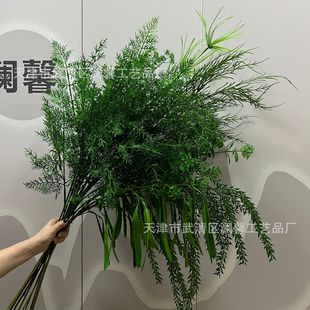 ����ɭϵ�Gֲ��ɫϵ�л�c���ű����bGֲ�ҾӾƵ겼��ֲ�����l