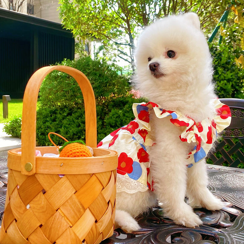 Pastorale Coton Petites Fleurs Vêtements Pour Animaux De Compagnie display picture 8