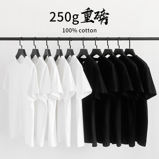 250g�½������ذ��A�I�������p����Ů��ɫ���䌒�ɰ��������w��