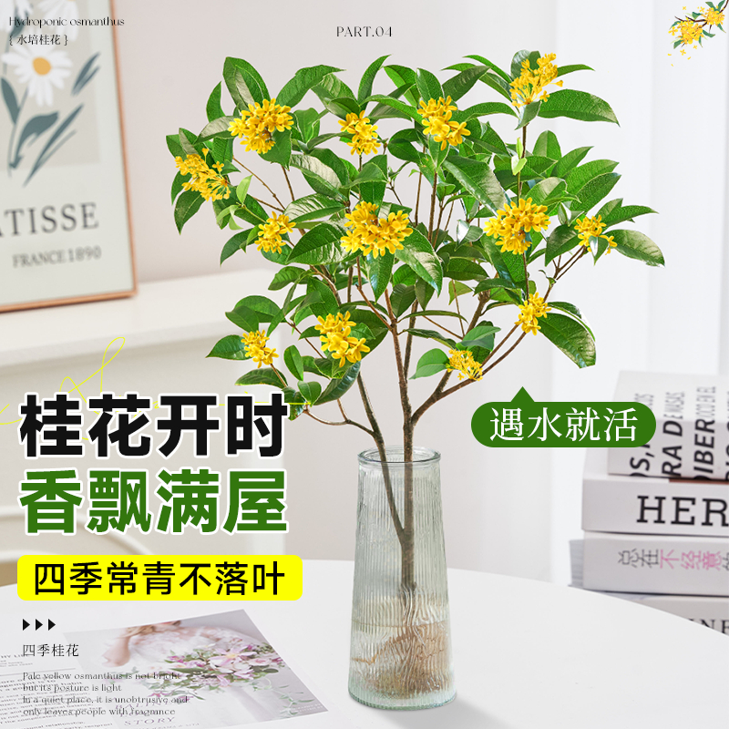 商品图
