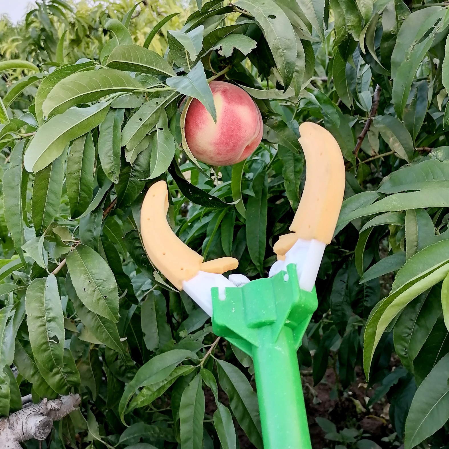 1.7米长塑料把摘果器三爪采果器摘果杆高空水果采摘器摘苹果桃梨