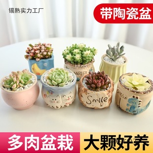 ֲM҃С¶ҵմɻϘ߶Gֲ