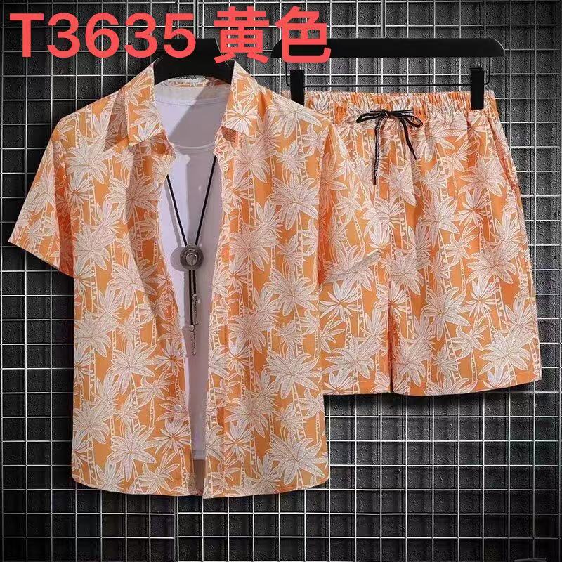 사우스 T3635
