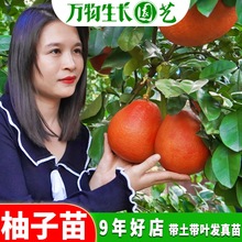 ���Ә���V���ݿhɳ���֘���޽�̩�����_��ˮ���t��������Թ���