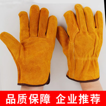 ȫţƤ늺׺ӷ̰\ñůoL׷_