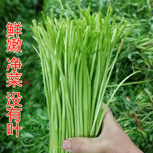 �J���ȥ�~�����r��ժ�h�ﮔ�����r�����߲�Ұ��޼���r��