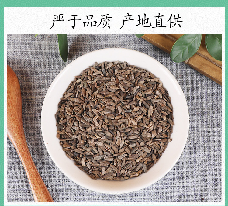 Wild Burdock Seed Niubangzi 500g Dried Arctium Fruit for Tea and Decoction specifications