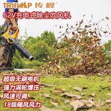 ����62V���ʏ������L�C���ʽ���I���L�C����o���늴����~�C