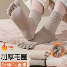 ��ָ�m��Ů������Ͳ�m������ů�ӽq�Ӻ��ֺ�m�ﶬȫ��ëȦ�m�LͲ