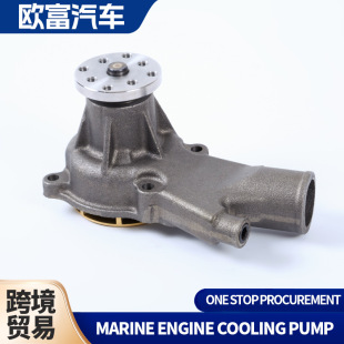 Marine 2.5 Water Circulation Pump 3.0L3854017/6514 2A1/884727/814755/880817