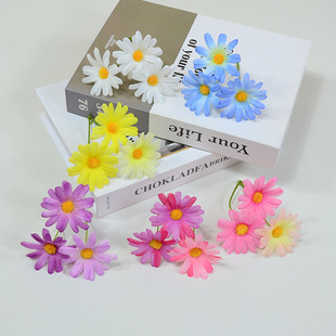 ��˹�ջ������沨˹�������P�l�^ѻ��辰�廨�ֹ�DIY�����r��