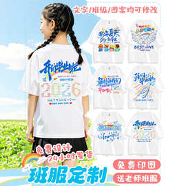 小学生毕业班服定 制t恤初中高考服装幼儿园运动会儿童短袖文化衫